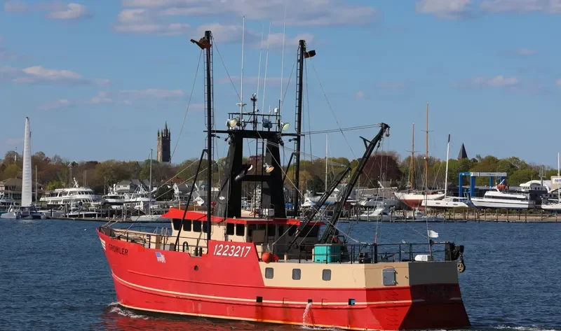GROWLER General Cargo IMO 9585479 photo 6