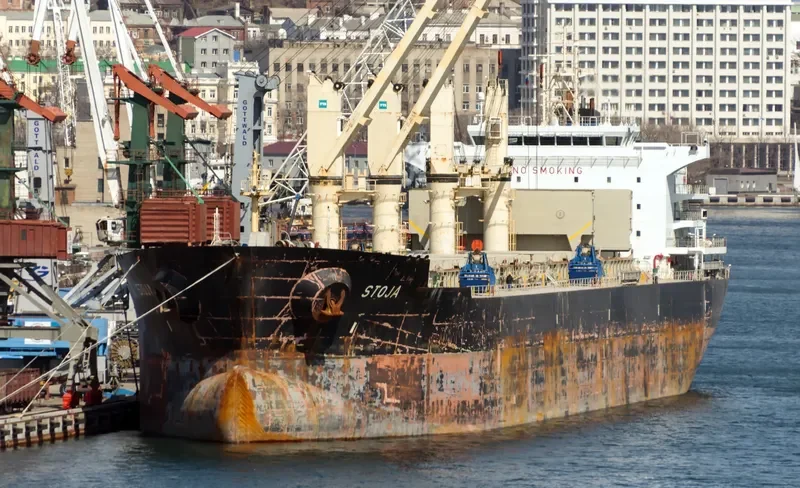 STOJA Bulk Carrier IMO 9585558 photo 3