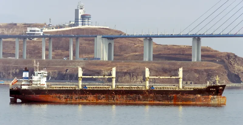 STOJA Bulk Carrier IMO 9585558 photo 4