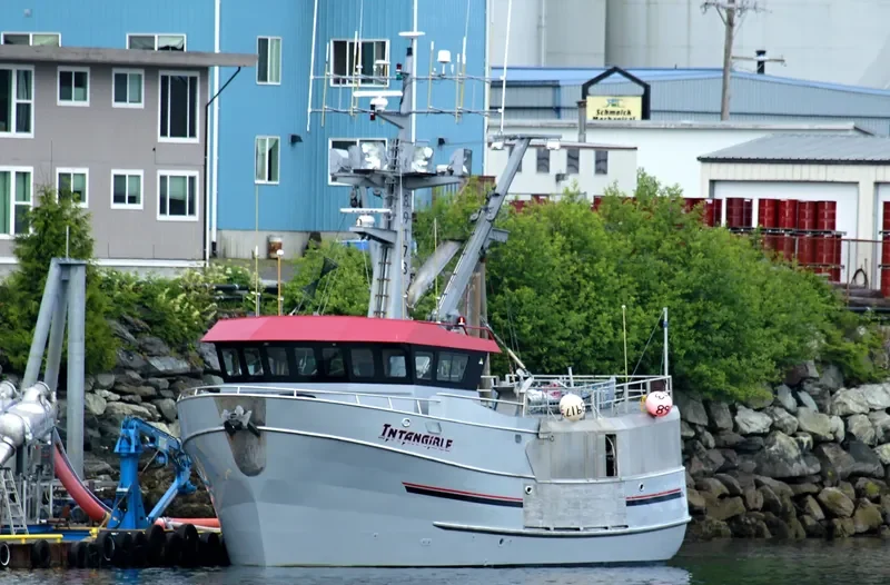 INTANGIBLE General Cargo IMO 9585560 photo 2