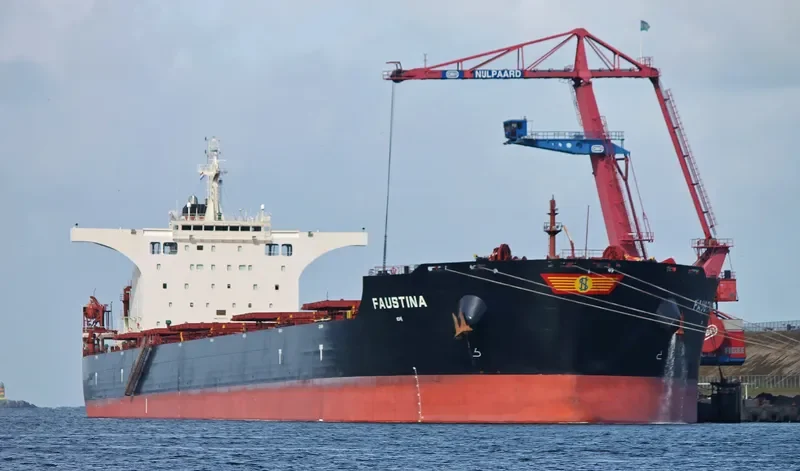 SEAMATE Bulk Carrier IMO 9585572 photo 2