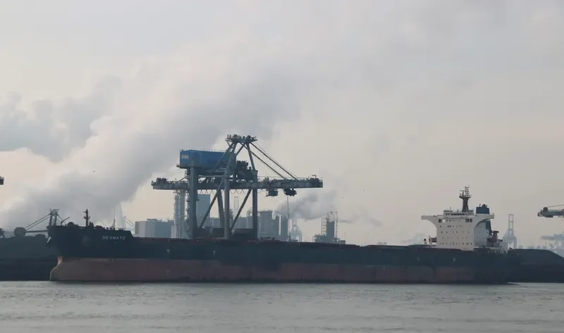 SEAMATE Bulk Carrier IMO 9585572 photo 10