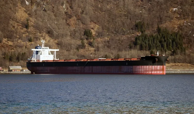 DELOS Bulk Carrier IMO 9585601