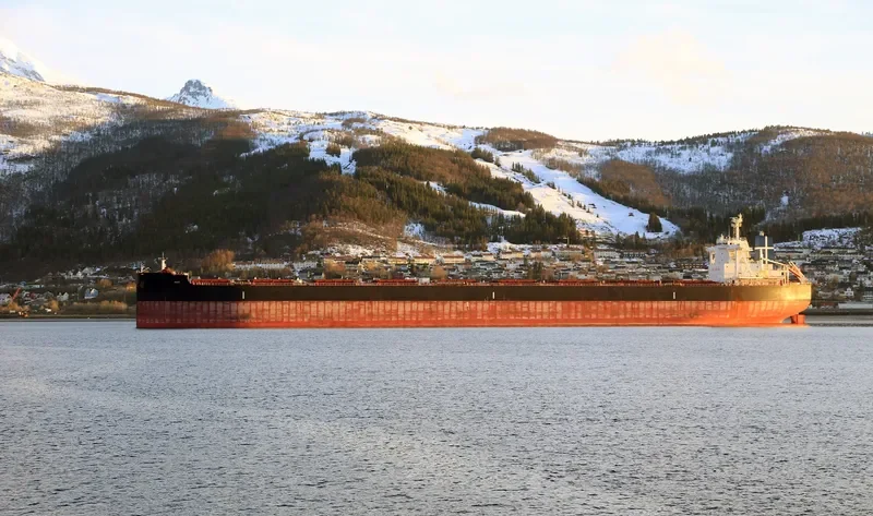 DELOS Bulk Carrier IMO 9585601 photo 2