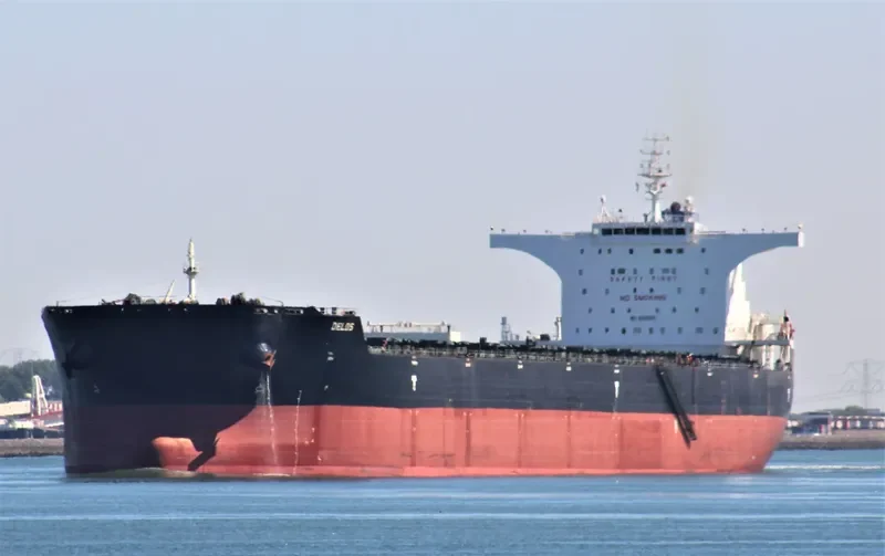 DELOS Bulk Carrier IMO 9585601 photo 9