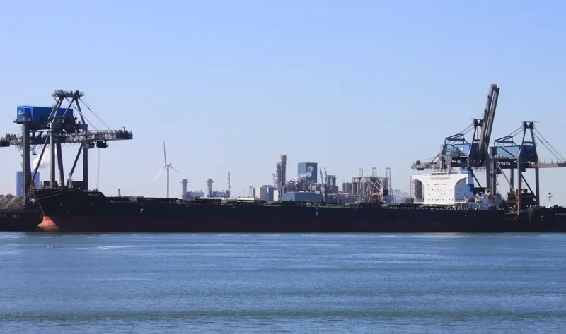 DELOS Bulk Carrier IMO 9585601 photo 10