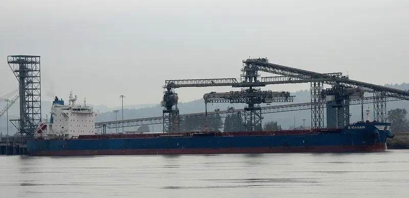 GOLDEN IOANARI Bulk Carrier IMO 9586344 photo 3