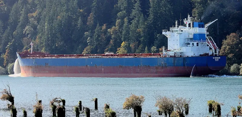 GOLDEN IOANARI Bulk Carrier IMO 9586344 photo 4