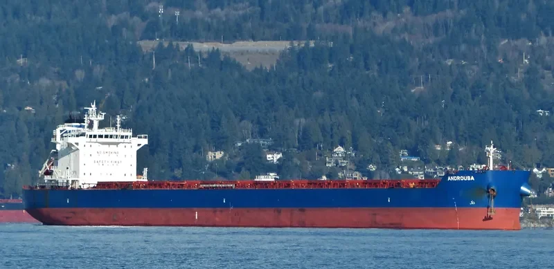 ANDROUSA Bulk Carrier IMO 9586356 photo 7