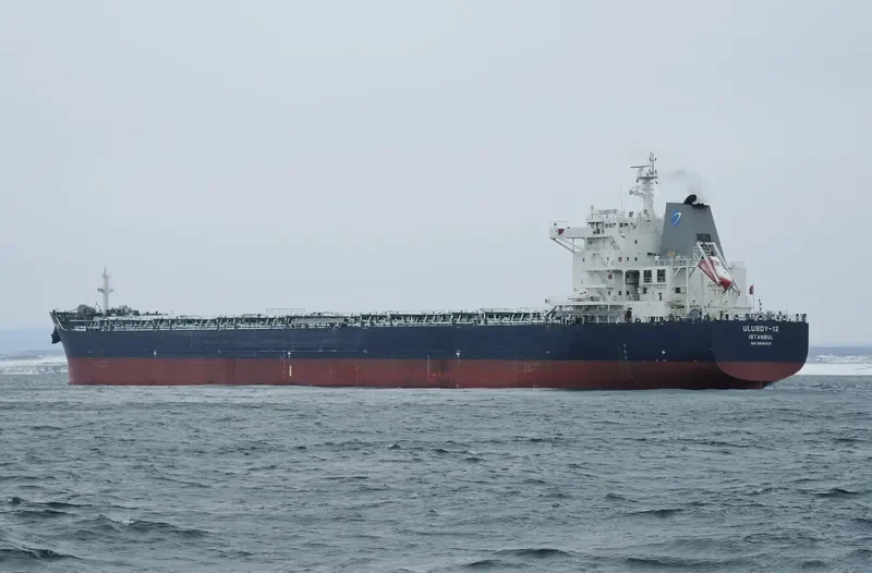 ULUSOY 12 Bulk Carrier IMO 9586423