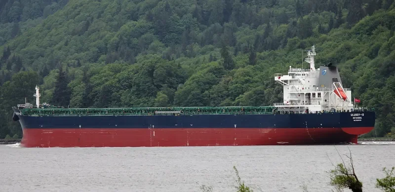 ULUSOY 12 Bulk Carrier IMO 9586423 photo 8