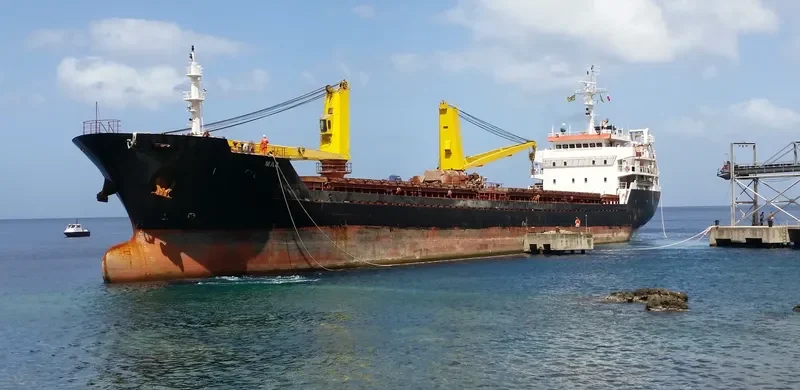 MAR Bulk Carrier IMO 9586447