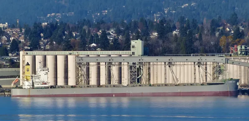 LYRIC SUN Bulk Carrier IMO 9586629 photo 2