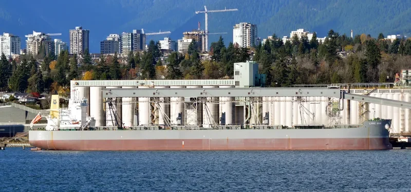 LYRIC SUN Bulk Carrier IMO 9586629 photo 7