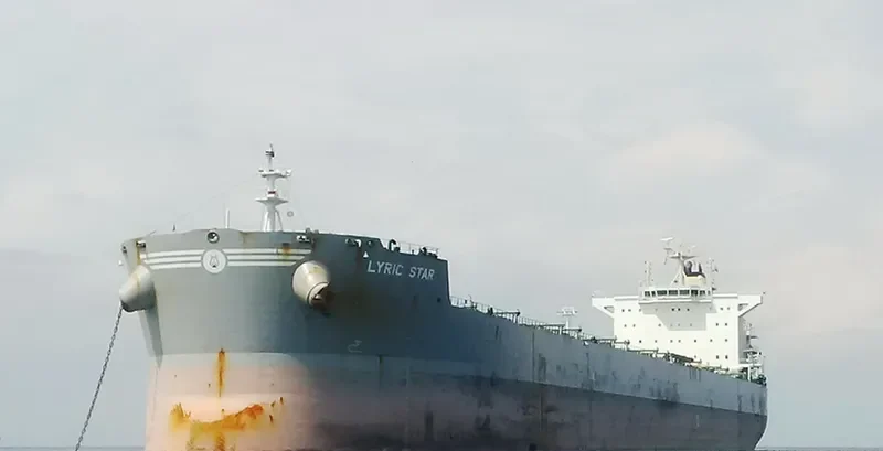LYRIC STAR Bulk Carrier IMO 9586631