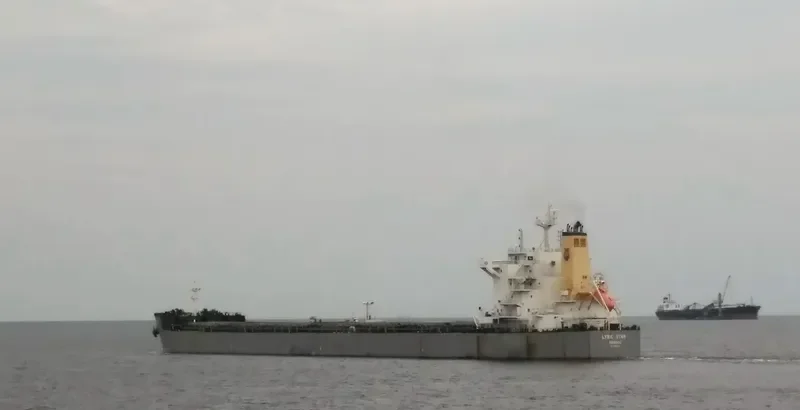 LYRIC STAR Bulk Carrier IMO 9586631 photo 2