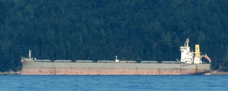 LYRIC STAR Bulk Carrier IMO 9586631 photo 6