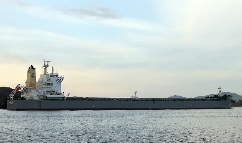 LYRIC STAR Bulk Carrier IMO 9586631 photo 9