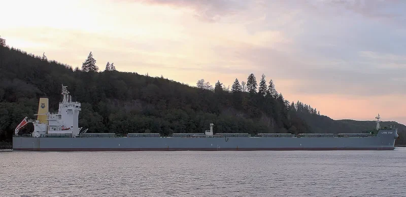 LYRIC STAR Bulk Carrier IMO 9586631 photo 10