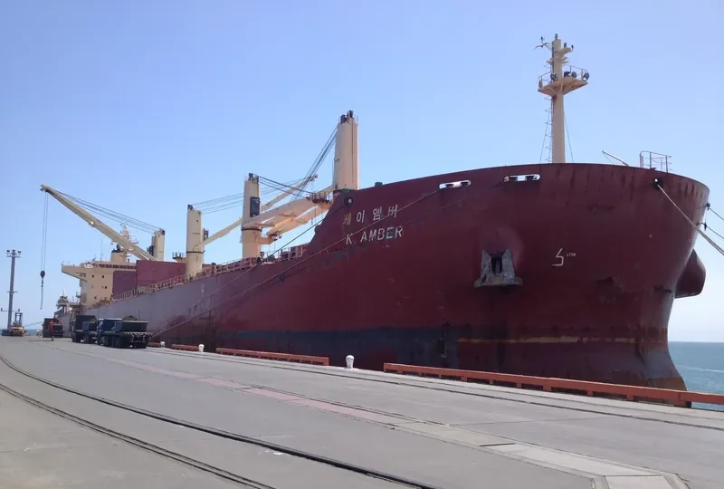 EASTERN BEGONIA Bulk Carrier IMO 9586693 photo 5