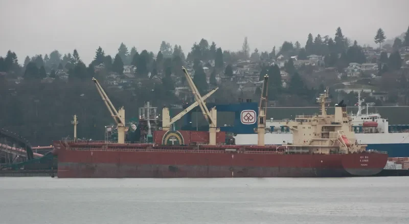 EASTERN BEGONIA Bulk Carrier IMO 9586693 photo 6