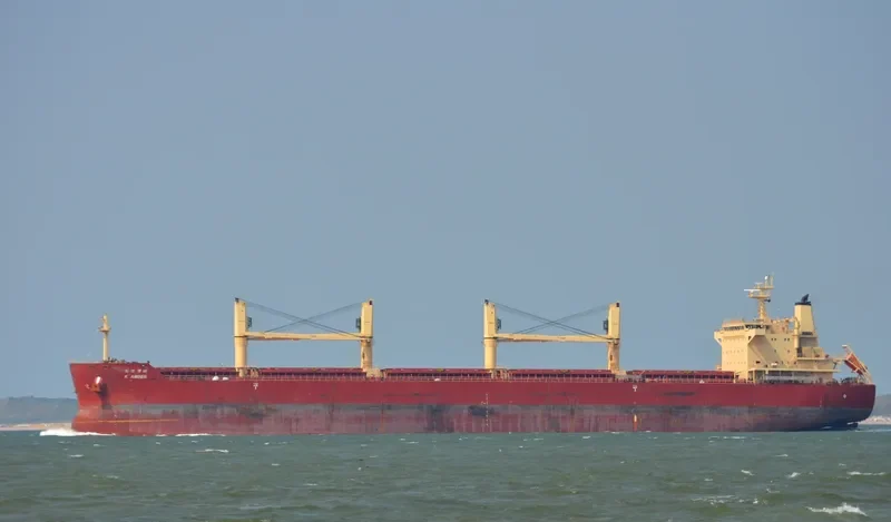 EASTERN BEGONIA Bulk Carrier IMO 9586693 photo 9