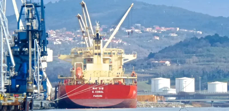 BAO GRAND Bulk Carrier IMO 9586708 photo 4
