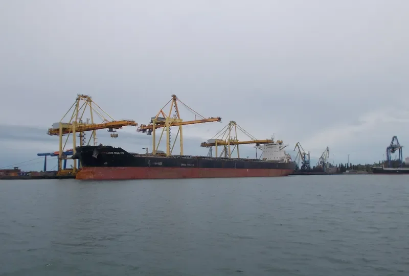 LOWLANDS TENACITY Bulk Carrier IMO 9586801 photo 3