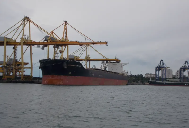 LOWLANDS TENACITY Bulk Carrier IMO 9586801 photo 4