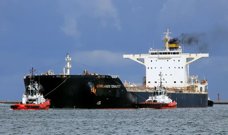 LOWLANDS TENACITY Bulk Carrier IMO 9586801 photo 7