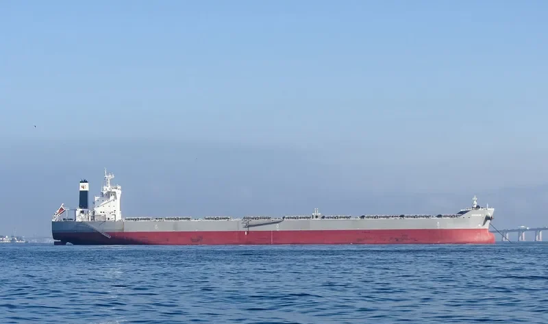 LOWLANDS TENACITY Bulk Carrier IMO 9586801 photo 9