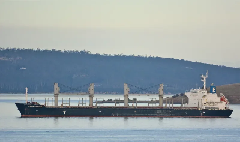 PHOENIX NEREID Bulk Carrier IMO 9586863 photo 5