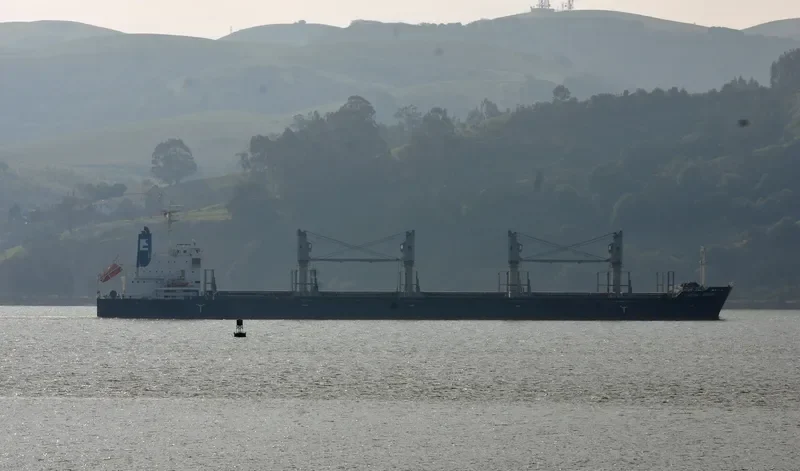 PHOENIX NEREID Bulk Carrier IMO 9586863 photo 7