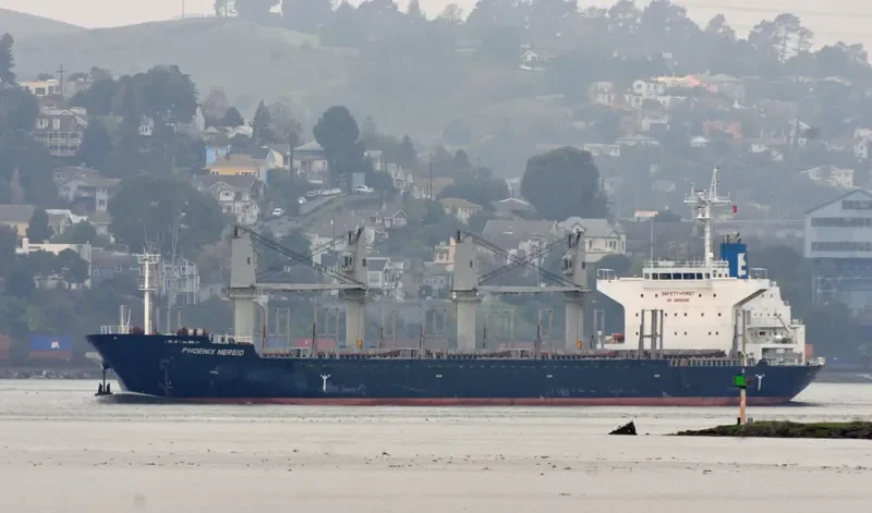PHOENIX NEREID Bulk Carrier IMO 9586863 photo 9