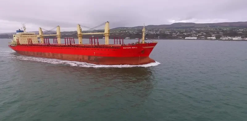 WESTERN MAPLE Bulk Carrier IMO 9587154 photo 4