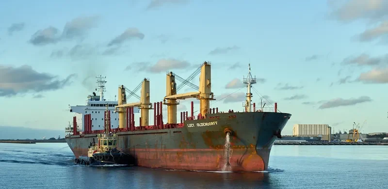 HONG KONG SPIRIT Bulk Carrier IMO 9587166