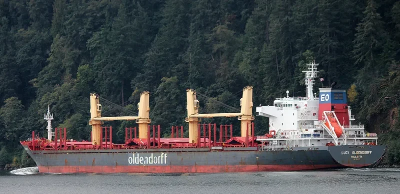 HONG KONG SPIRIT Bulk Carrier IMO 9587166 photo 3