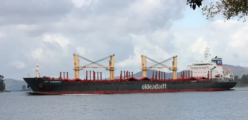 HONG KONG SPIRIT Bulk Carrier IMO 9587166 photo 5