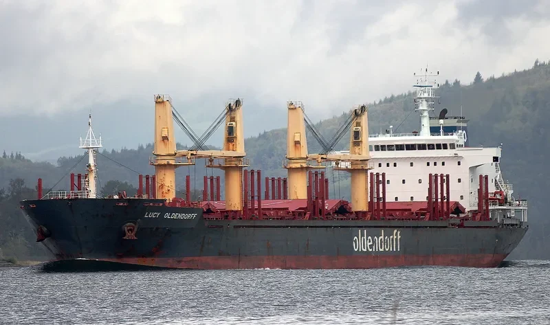 HONG KONG SPIRIT Bulk Carrier IMO 9587166 photo 6