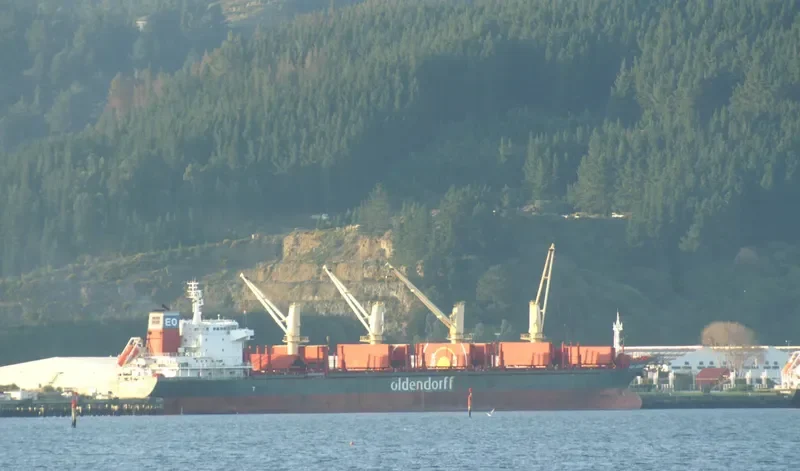HONG KONG SPIRIT Bulk Carrier IMO 9587166 photo 7
