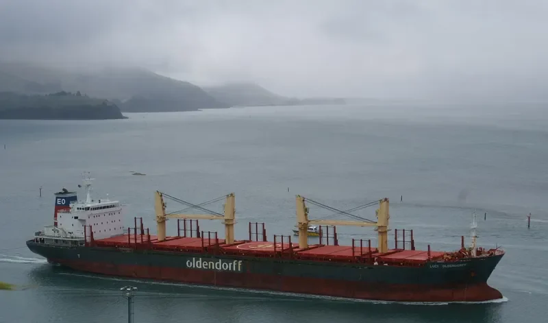 HONG KONG SPIRIT Bulk Carrier IMO 9587166 photo 9
