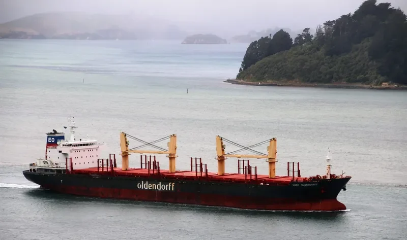 HONG KONG SPIRIT Bulk Carrier IMO 9587166 photo 10
