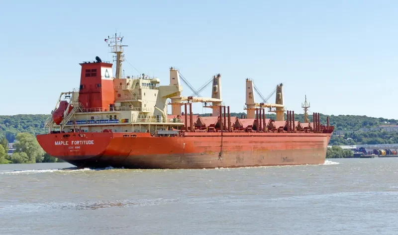 MAPLE FORTITUDE Bulk Carrier IMO 9587178 photo 2