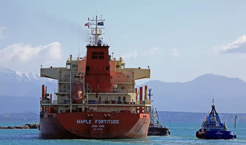 MAPLE FORTITUDE Bulk Carrier IMO 9587178 photo 7