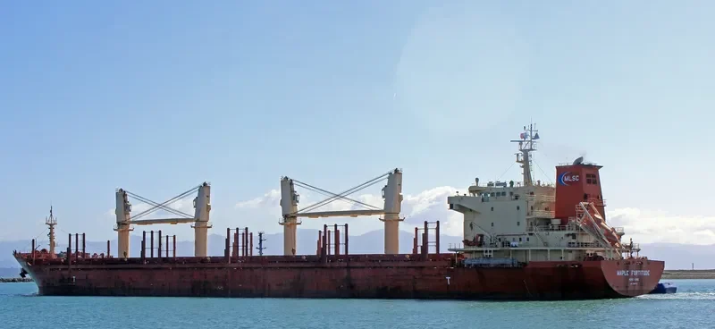MAPLE FORTITUDE Bulk Carrier IMO 9587178 photo 9