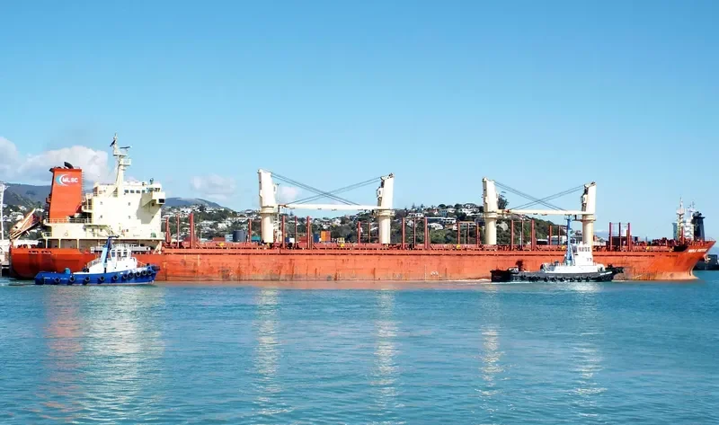 MAPLE FORTITUDE Bulk Carrier IMO 9587178 photo 10