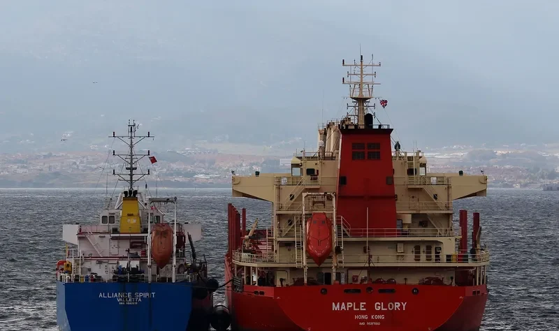 MAPLE GLORY Bulk Carrier IMO 9587180 photo 6