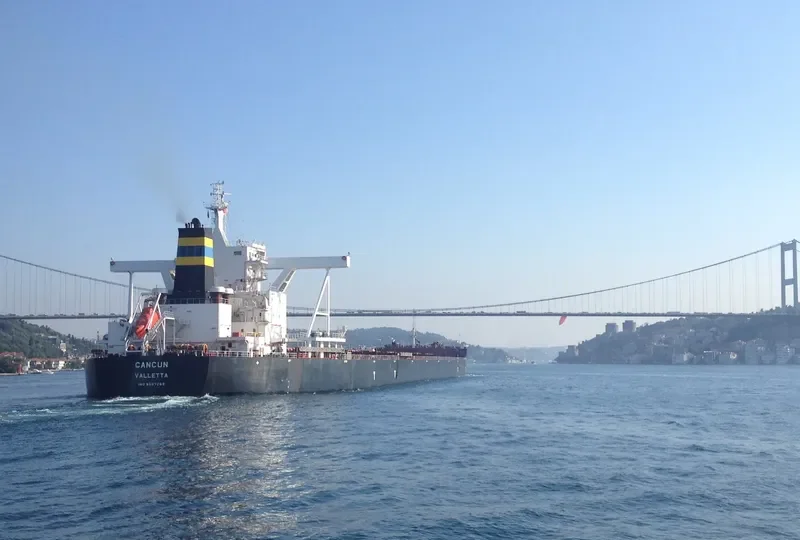 CANCUN Bulk Carrier IMO 9587269 photo 2