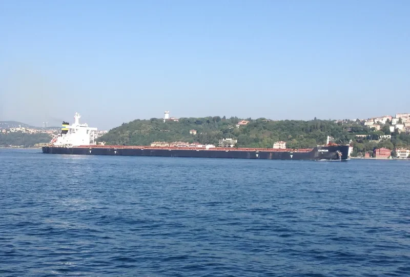 CANCUN Bulk Carrier IMO 9587269 photo 3