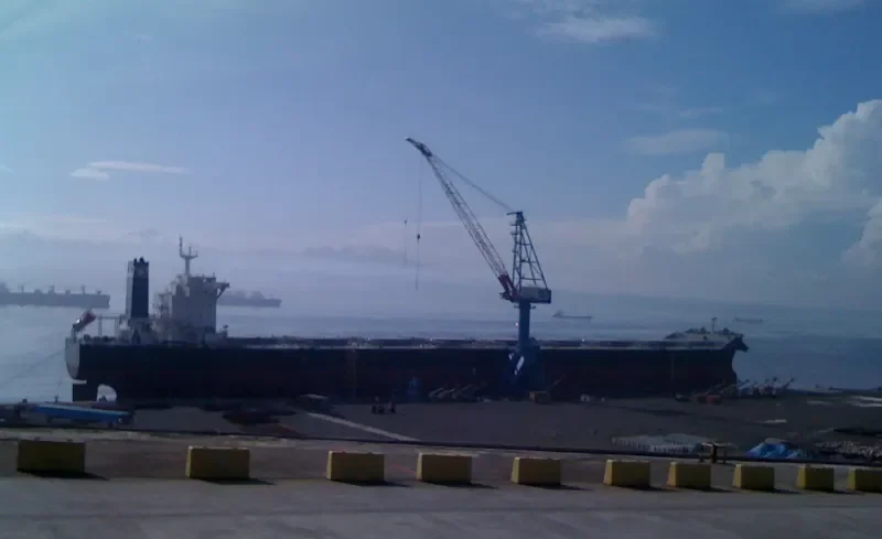 STAR BOREALIS Bulk Carrier IMO 9587386 photo 5